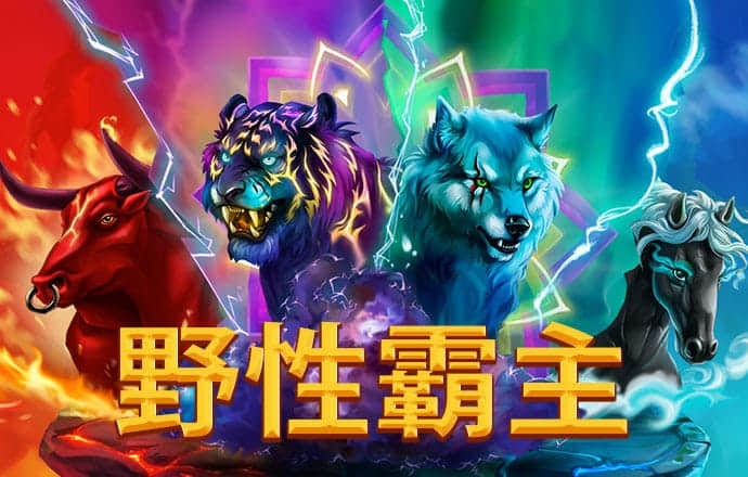 k1体育官方平台截图2